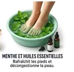 Carelle fashion