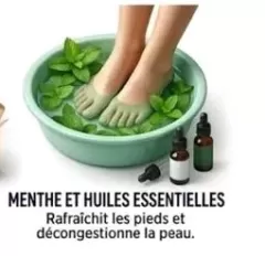 Carelle fashion