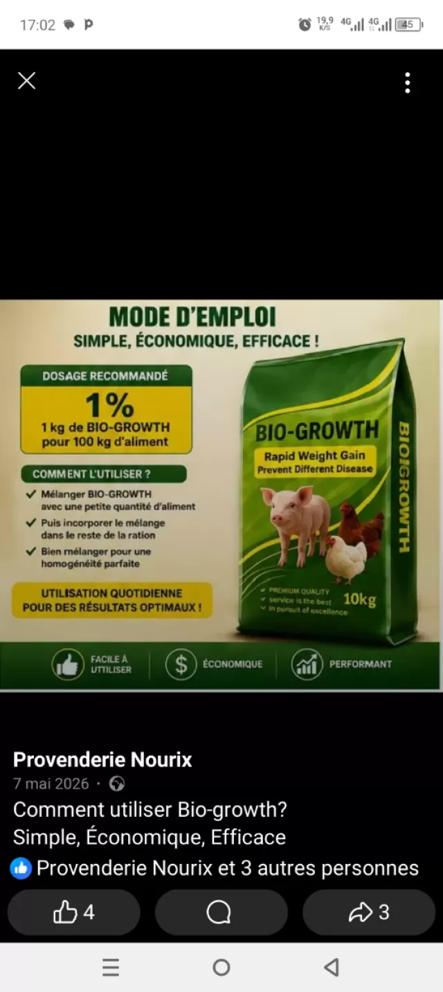 Croissance porc