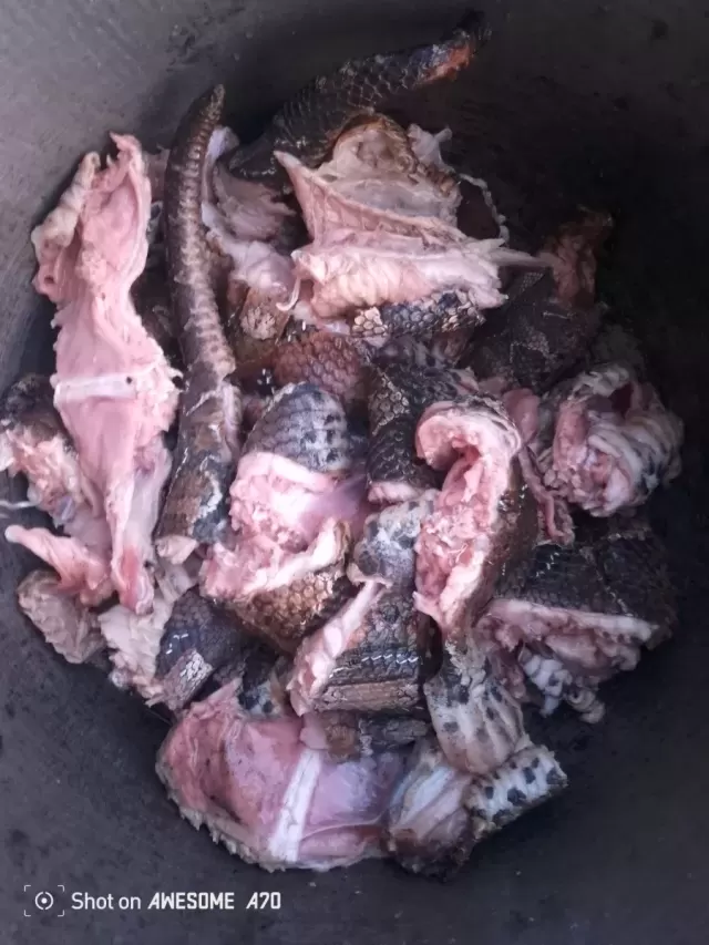 Viande de brousse