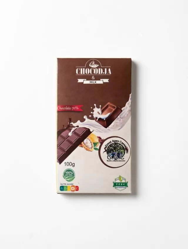 Great apes cocoa