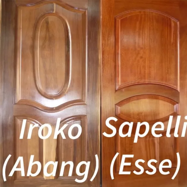 Les portes pour vos maisons