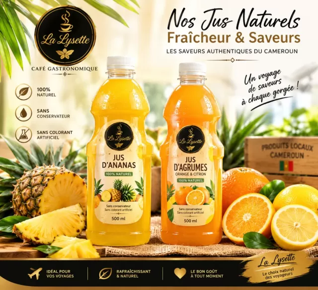 Pack jus d'ananas et jus d'agrumes. Sans additifs chimiques ni colorant